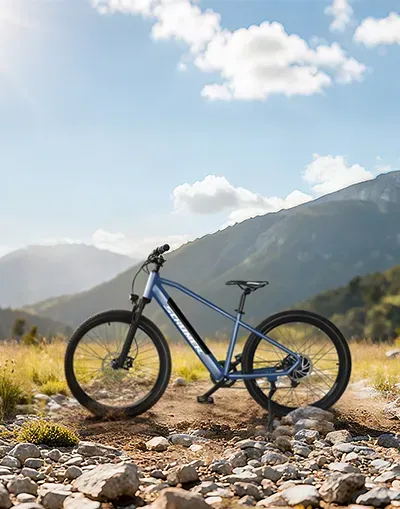 E-Mountain Bike